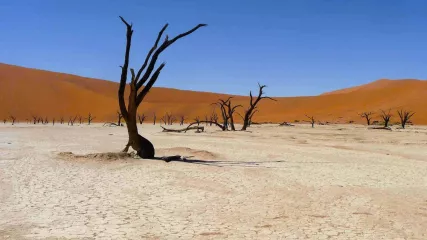 Easy Namibia