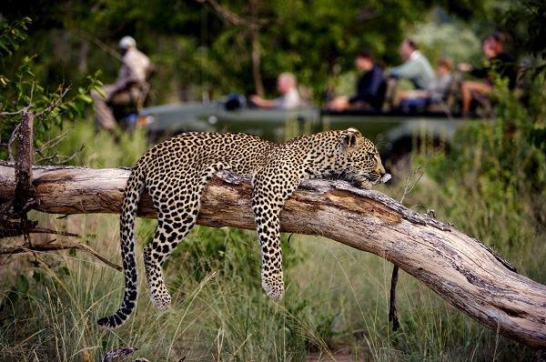 Mozambico Tour Kruger