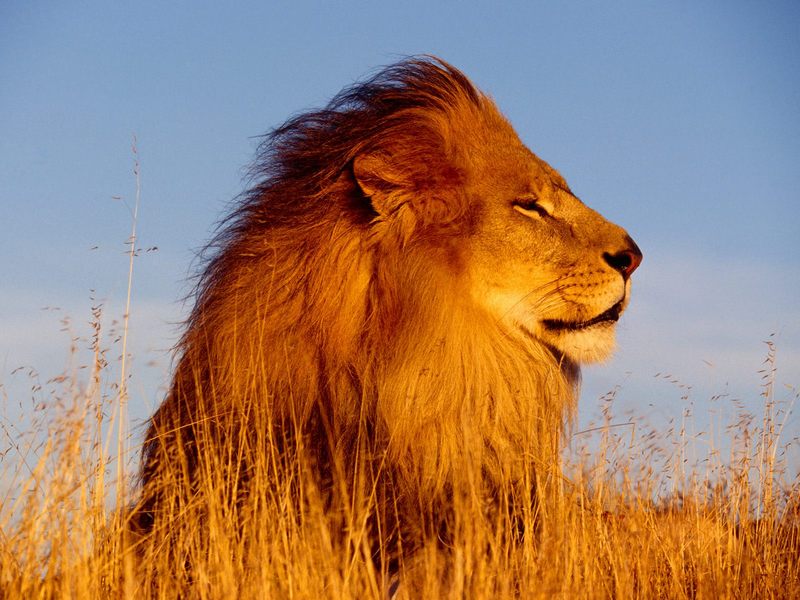 Namibia