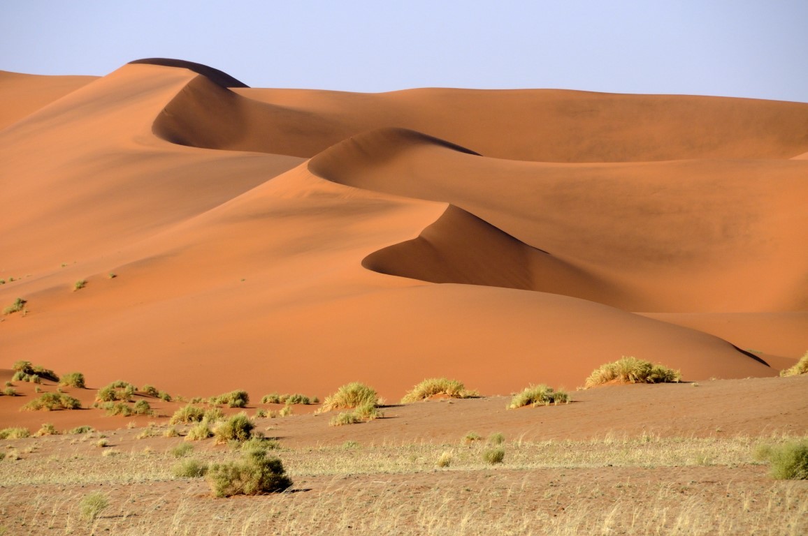 La magia del deserto