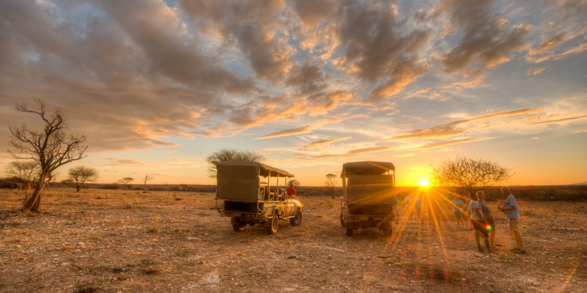 namibia safar namibia safar