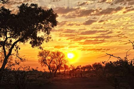 Zimbabwe Discover Safari Zimbabwe Discover Safari