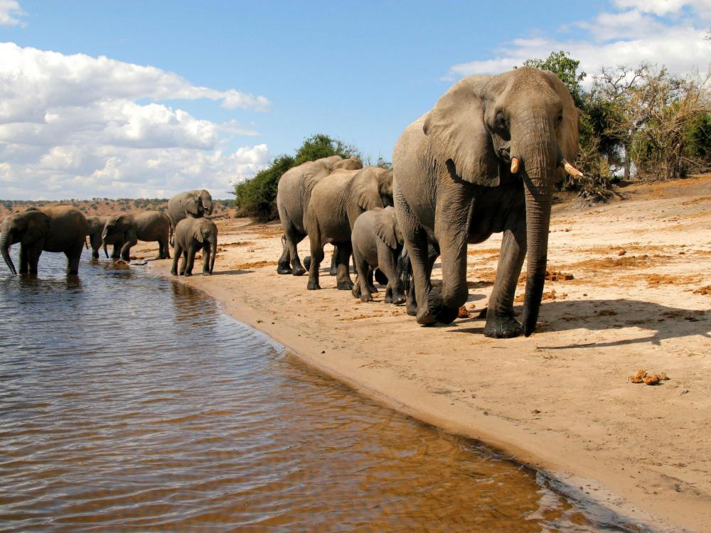 Zimbabwe_Botswana