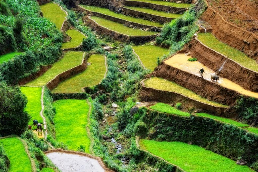 Vietnam del Nord Vietnam del Nord