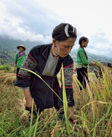 Vietnam
