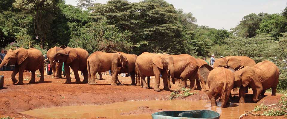 Viaggio Uganda Viaggio Uganda