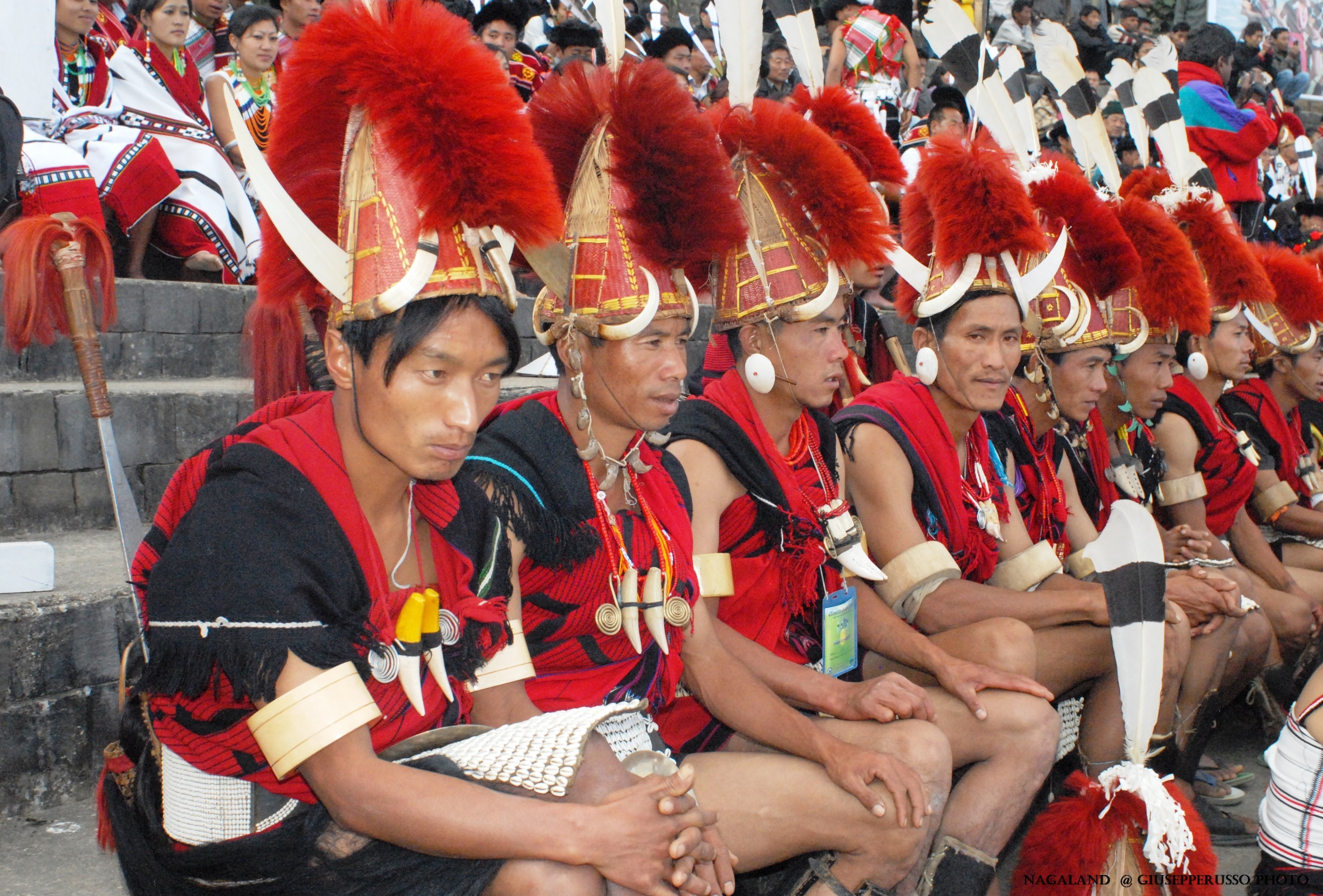 foto hornbill 3 foto hornbill 3