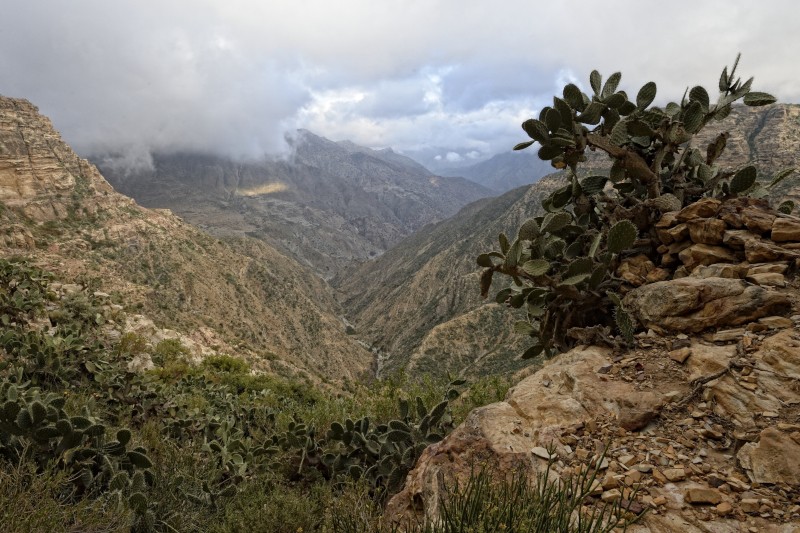ERITREA 2 ERITREA 2