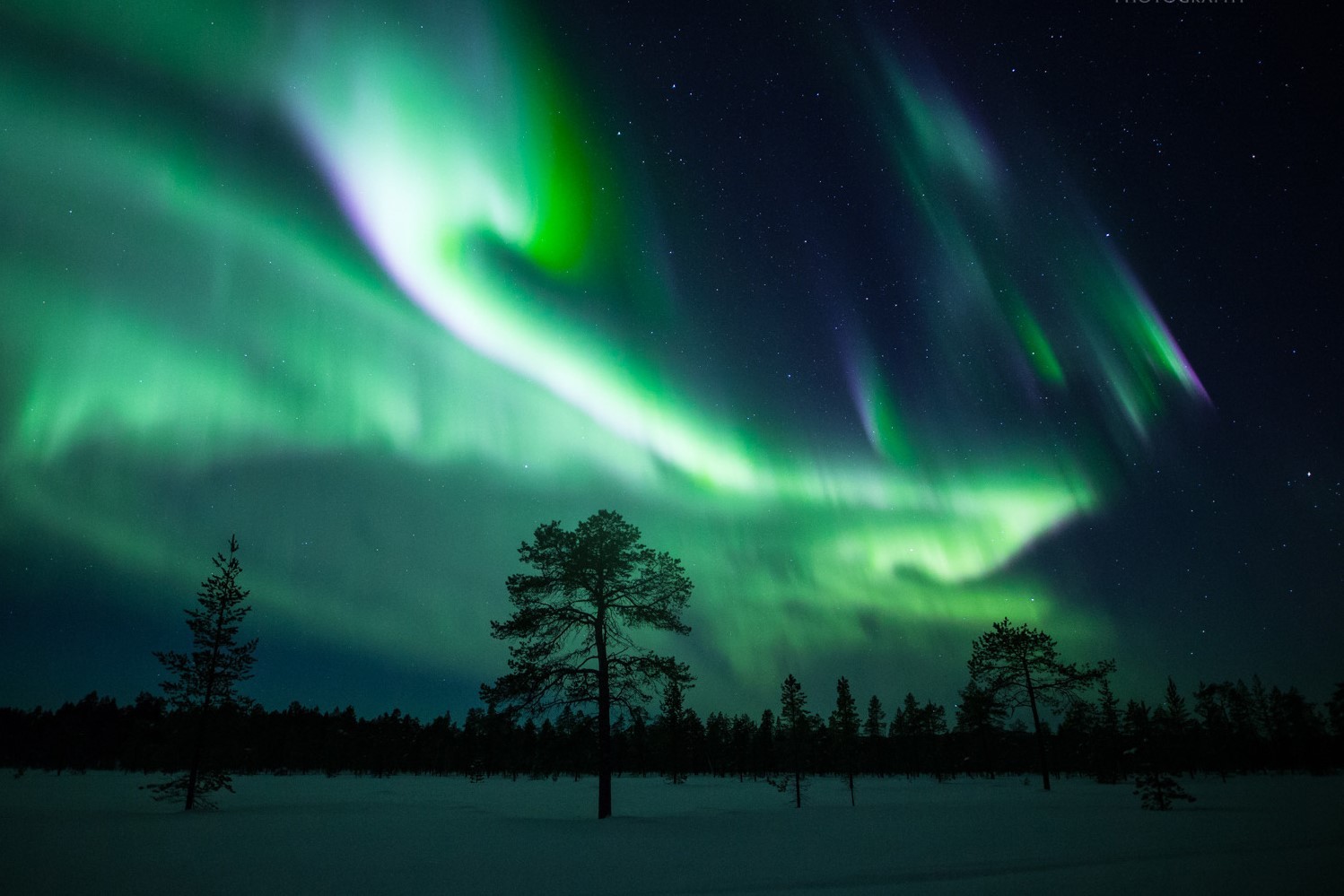 AURORA 1