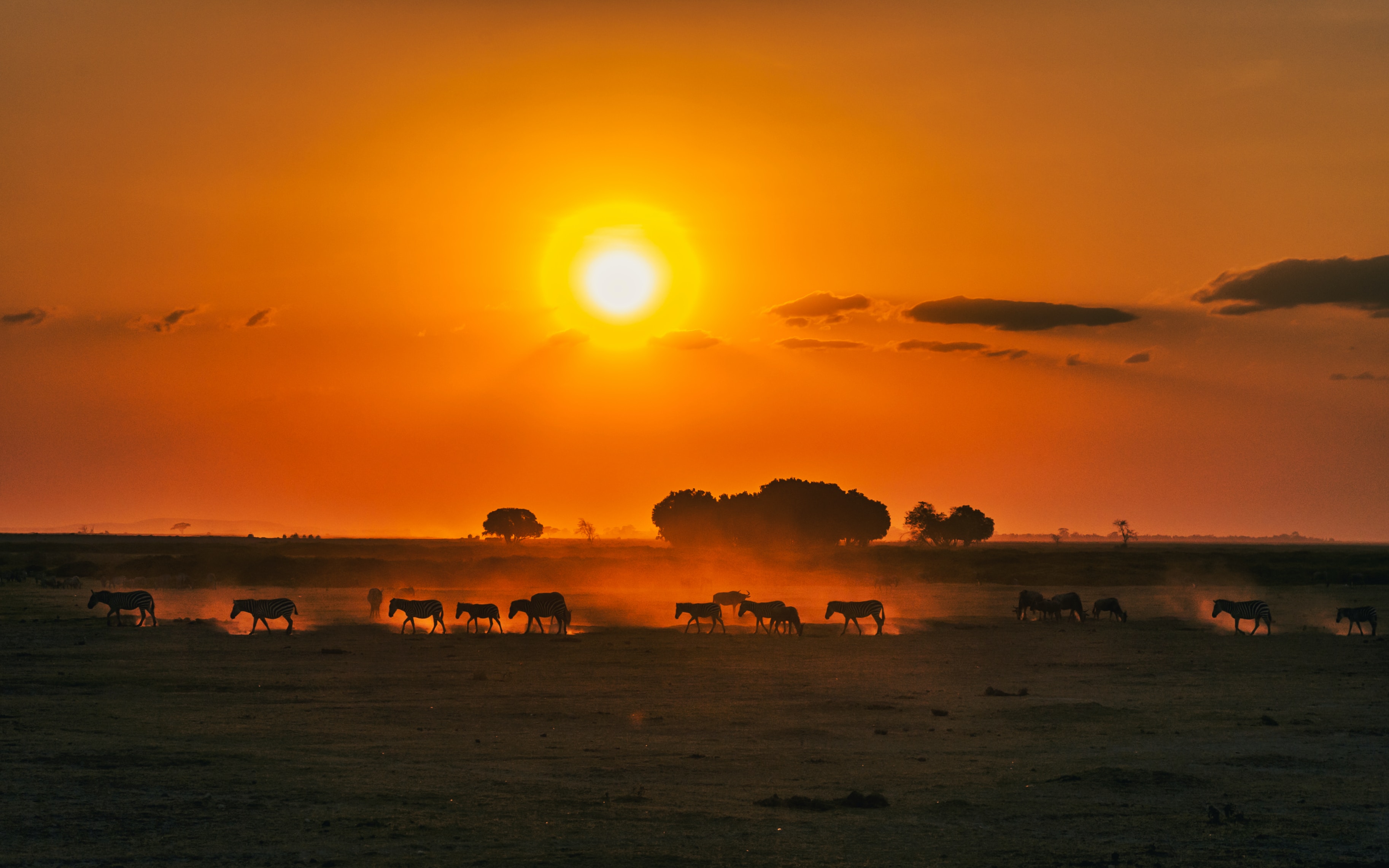 tramonto savana kenya