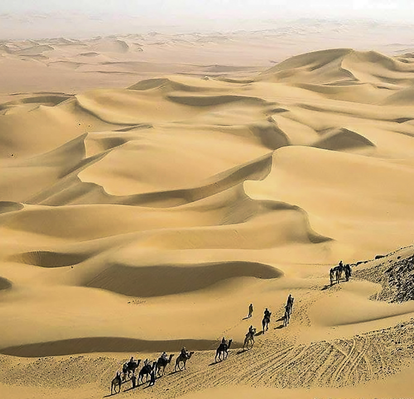 deserto niger
