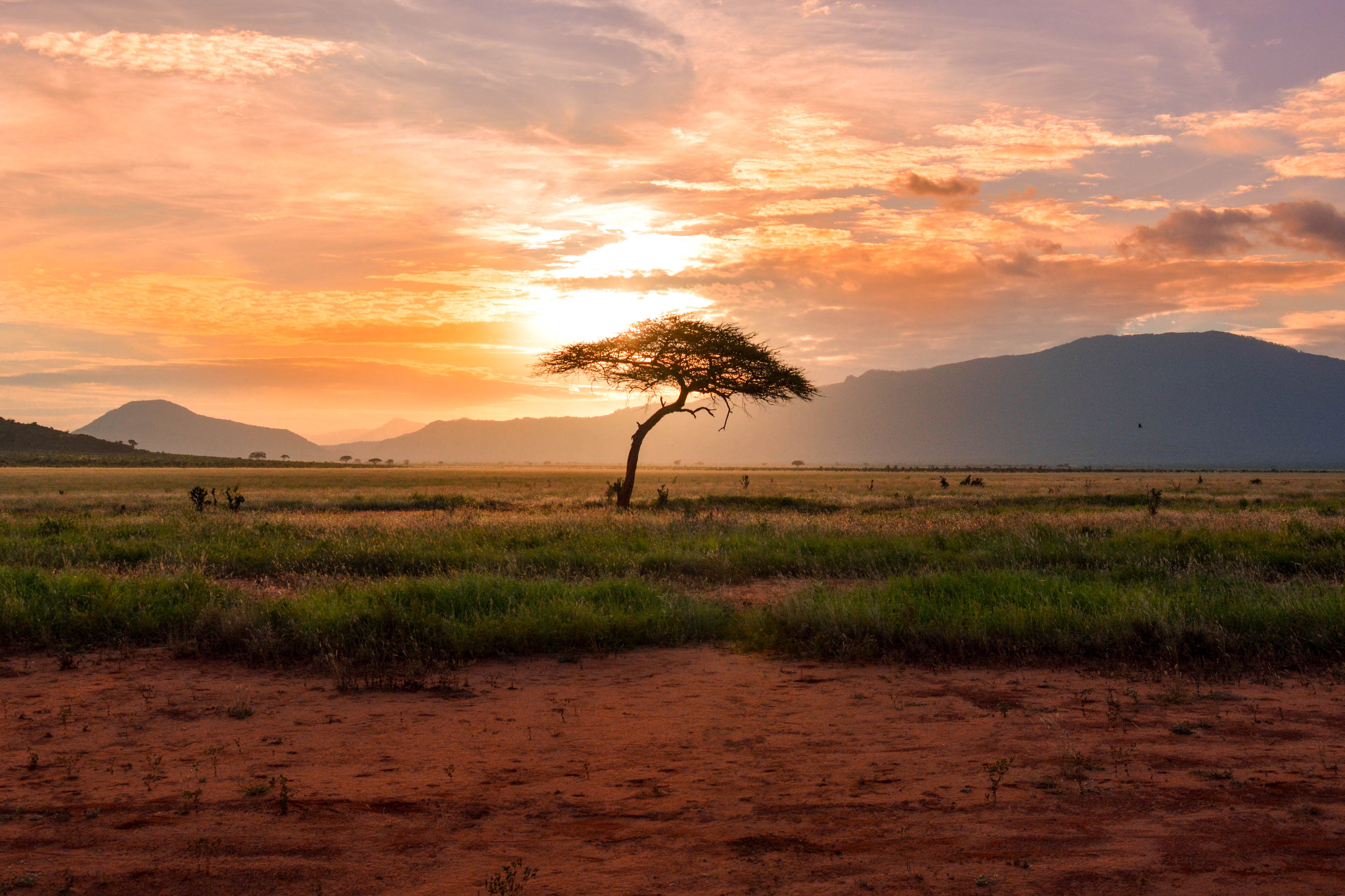kenya