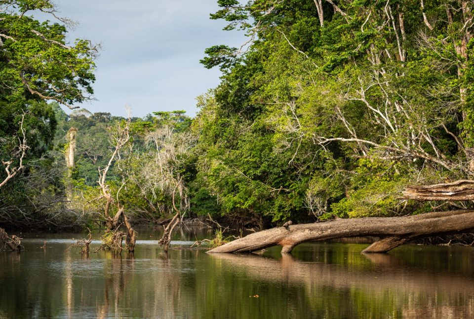 GABON