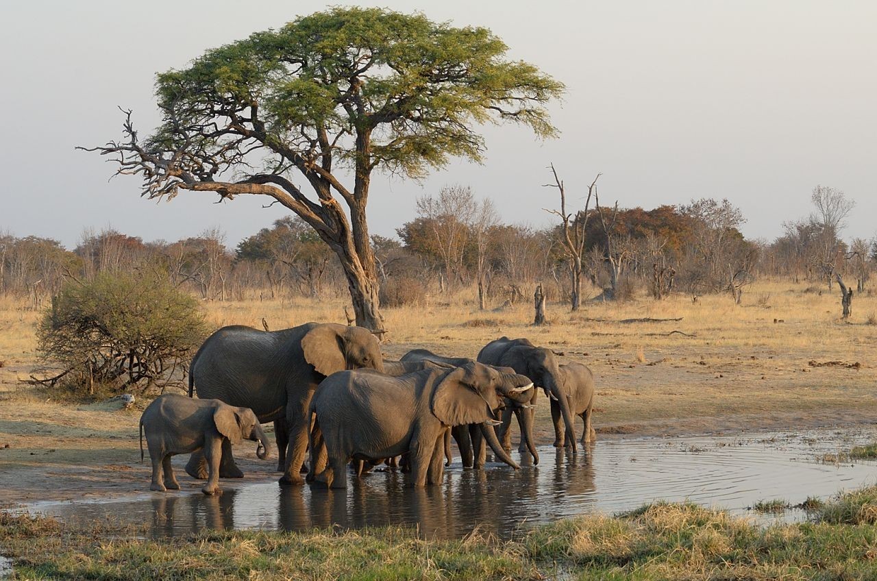 ZIMBABWE