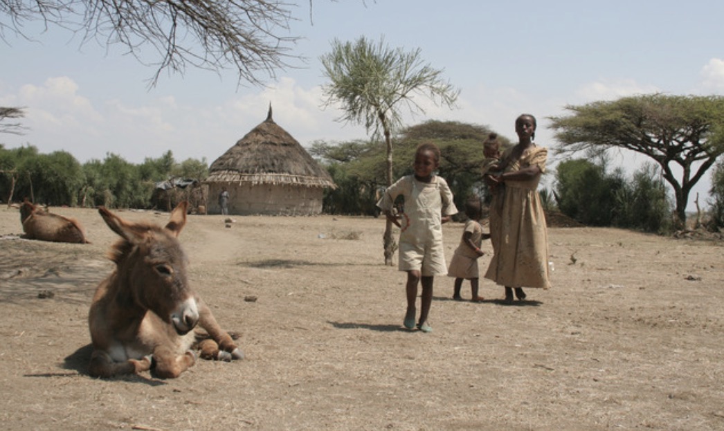 ETIOPIA, ARSI