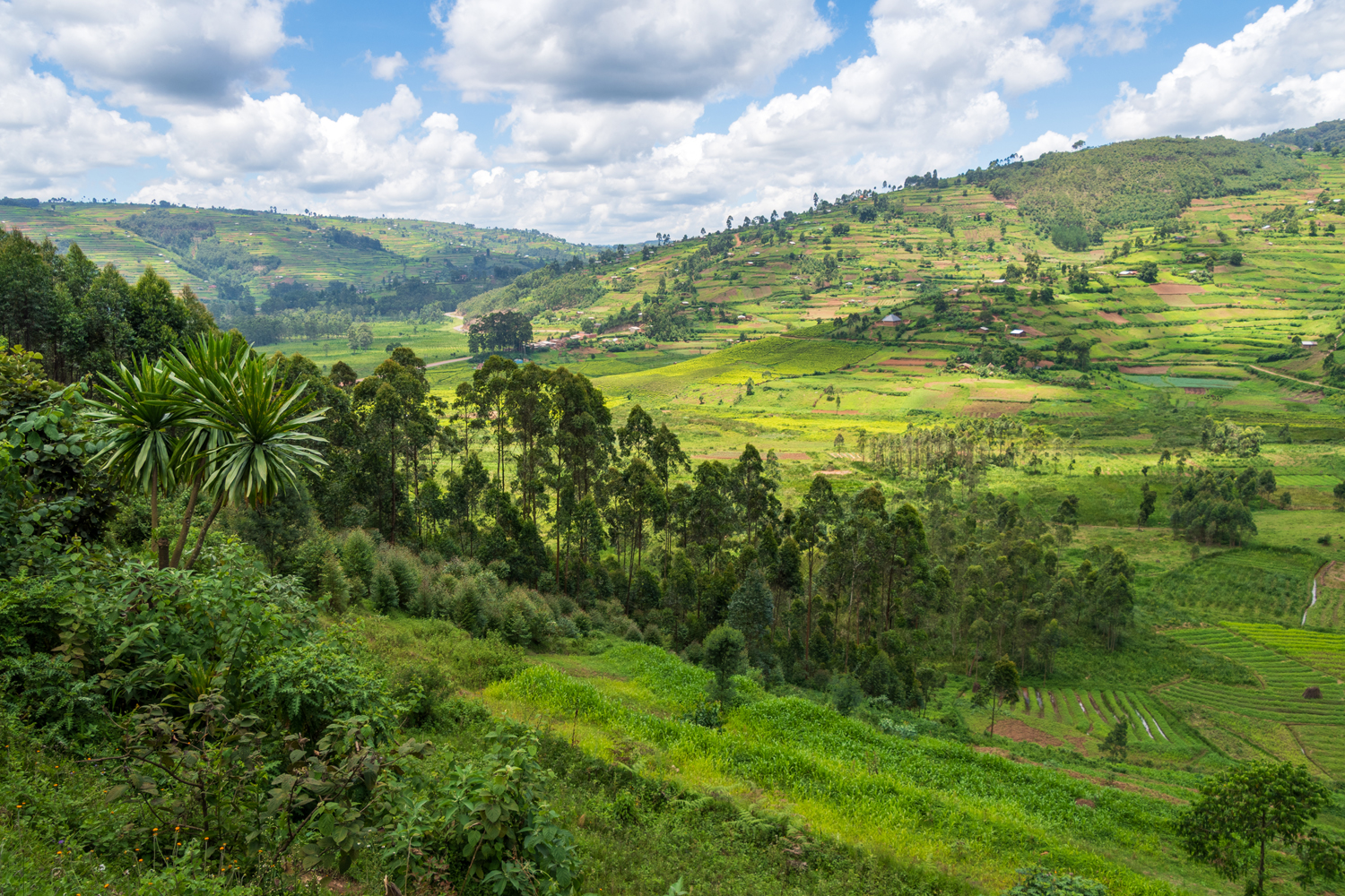 UGANDA