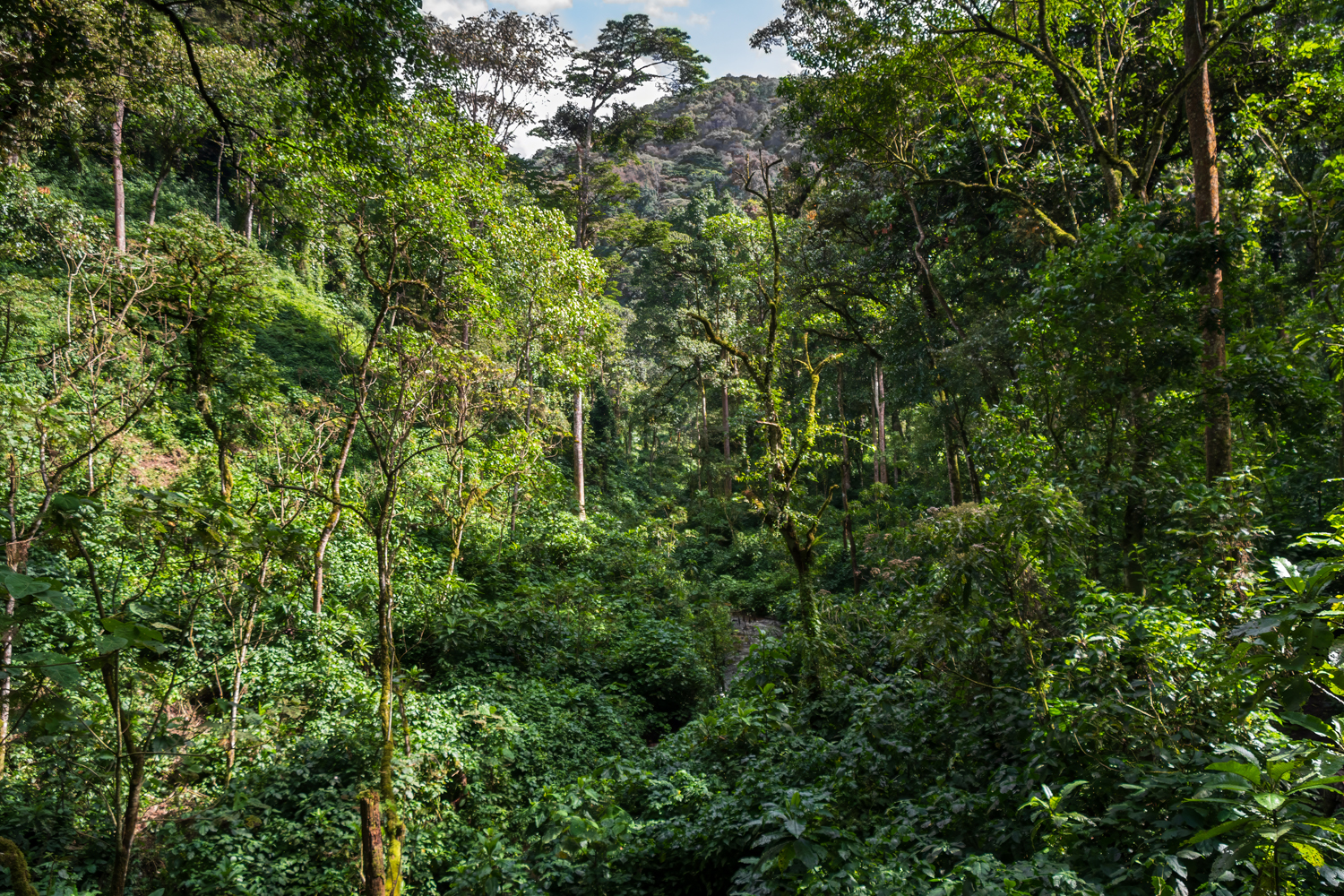 UGANDA