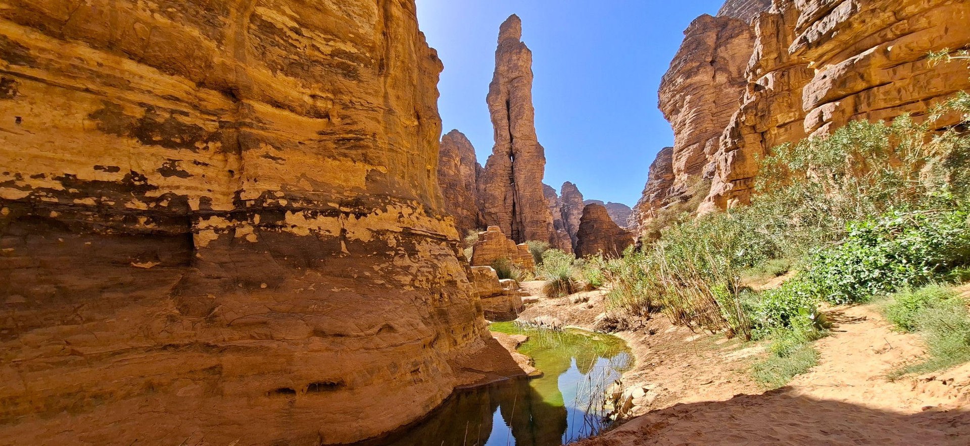 Pozza d'acqua e vegetazione in un canyon roccioso del Tassili n'Ajjer, testimonianza dell'antico clima verde del Sahara