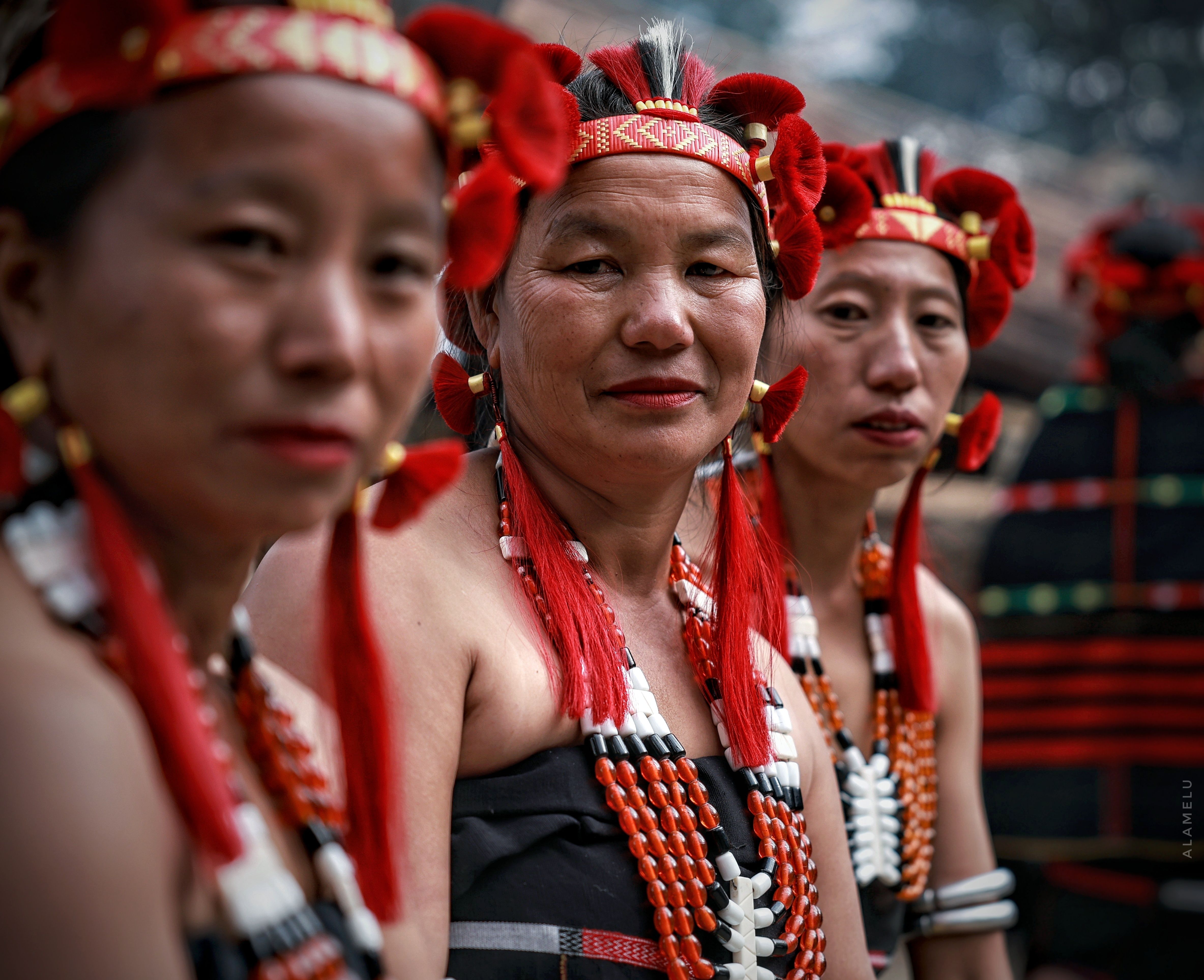 nagaland aoleang