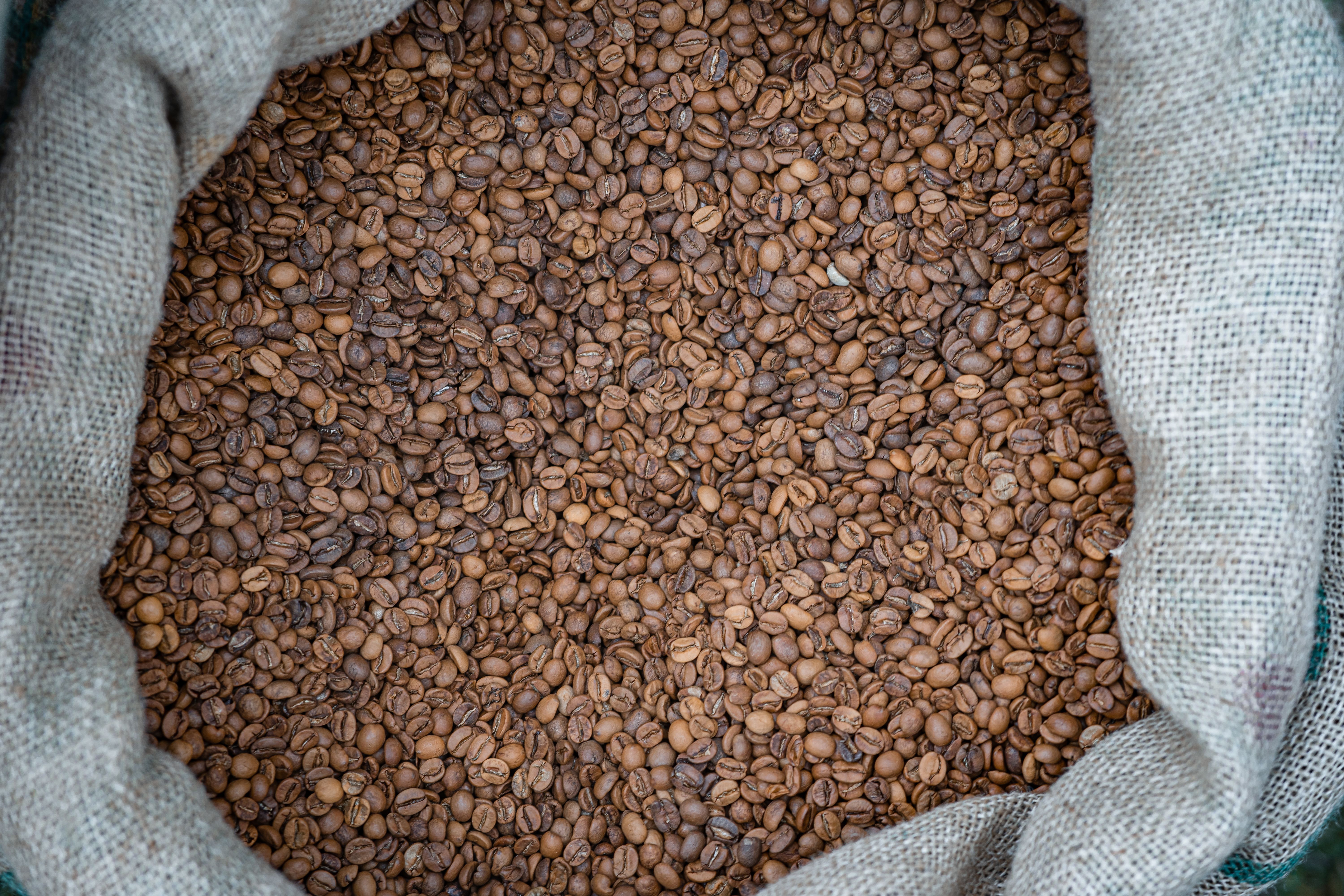 caffè Costa Rica