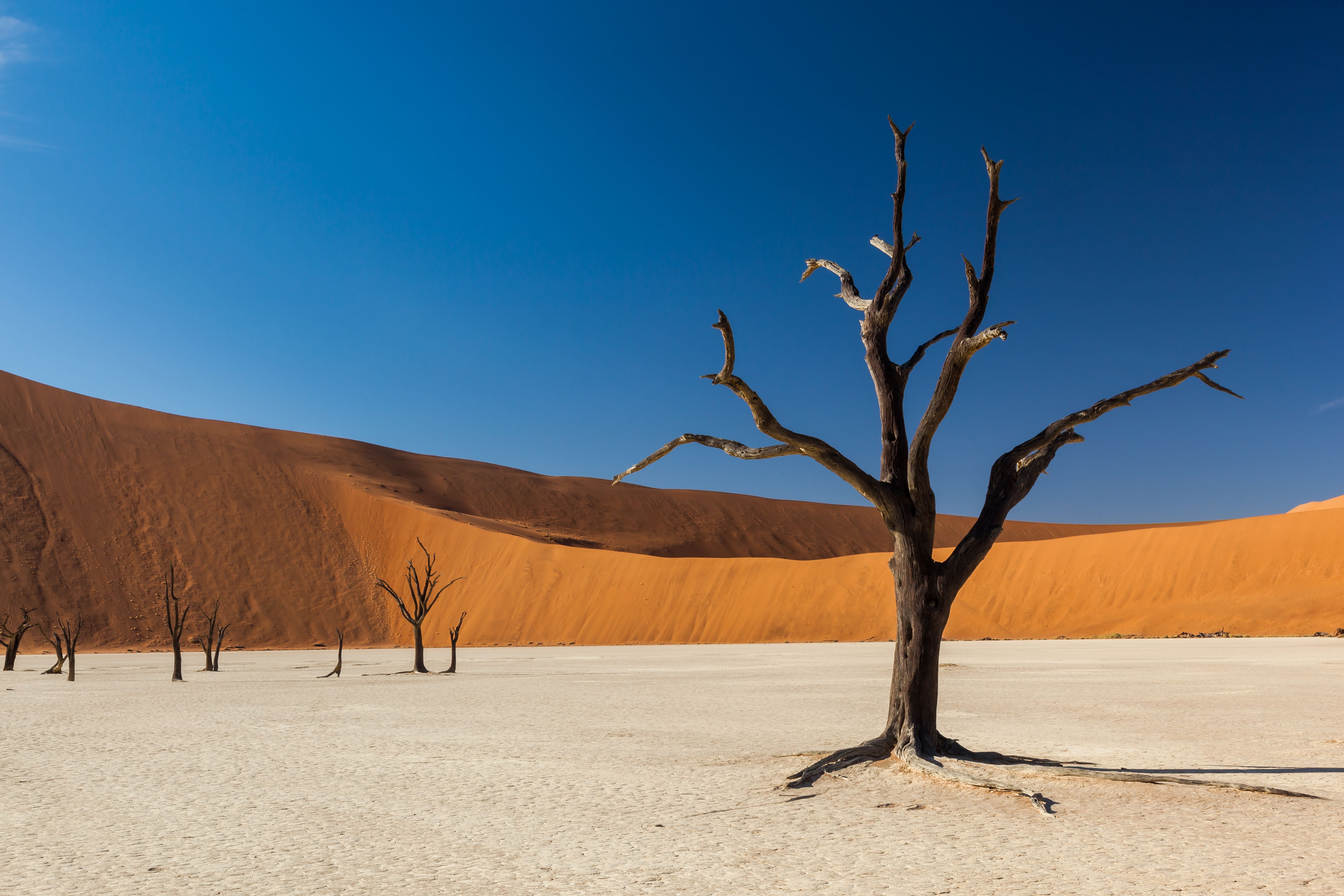 namibia 