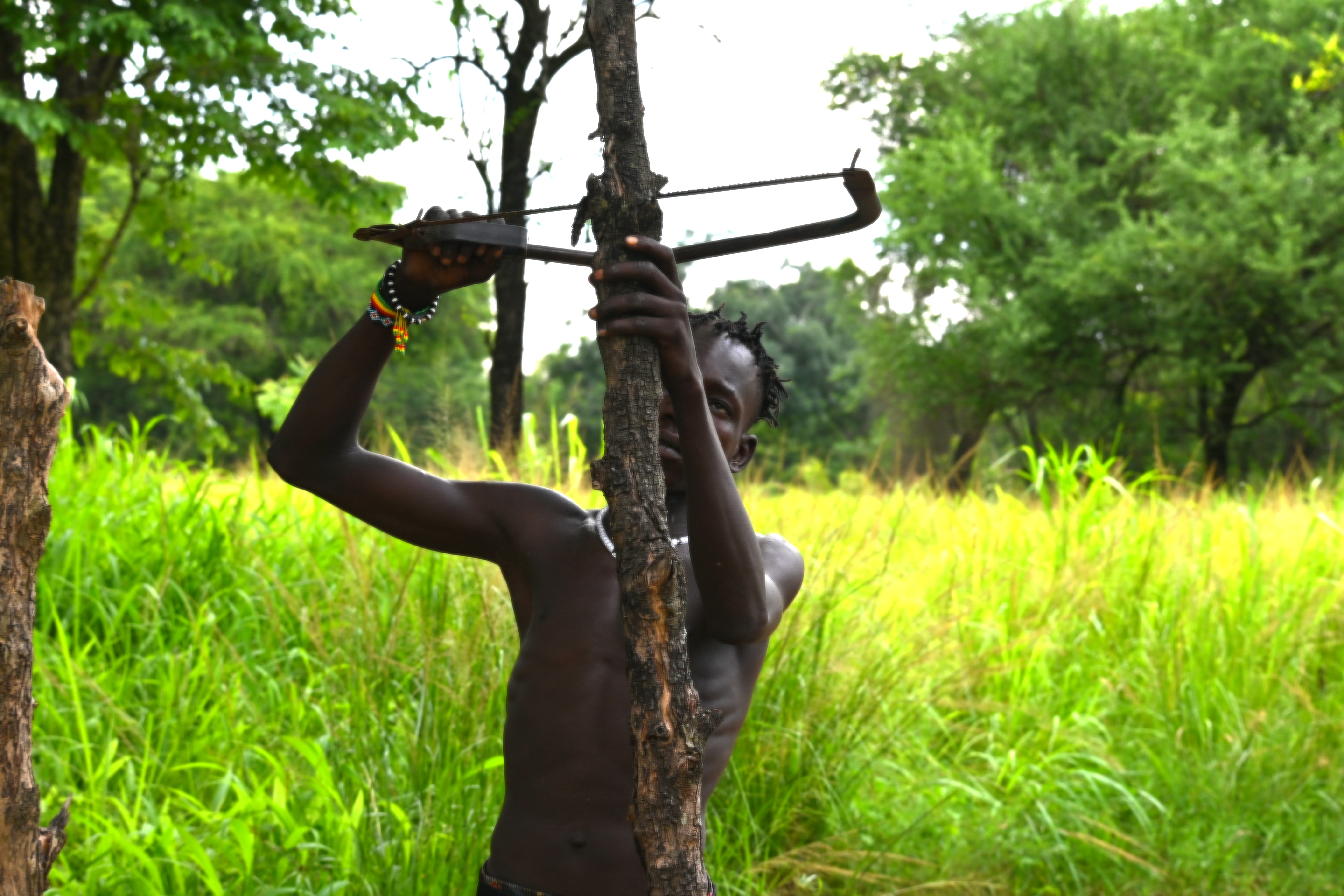 SURMA