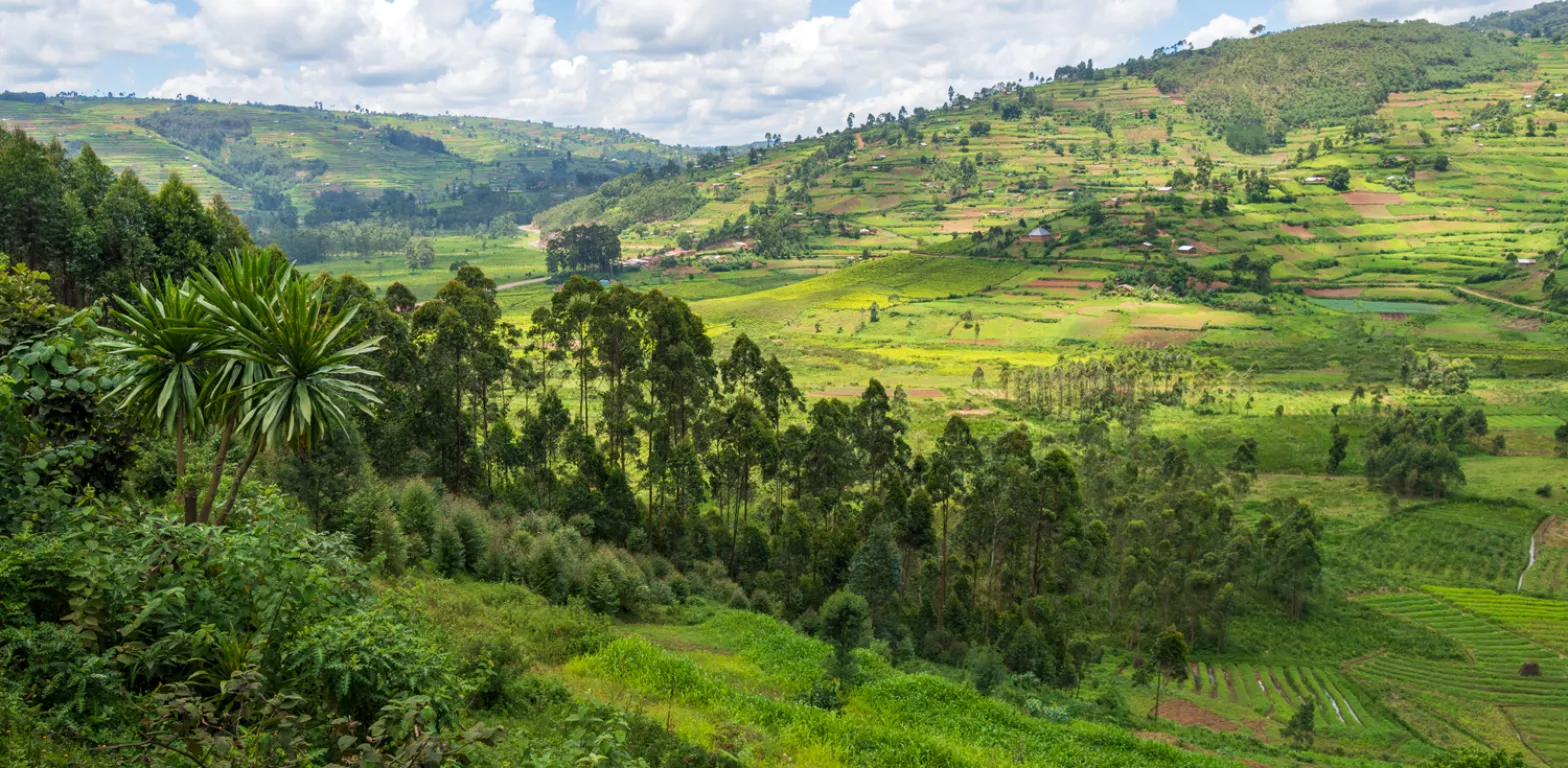 UGANDA