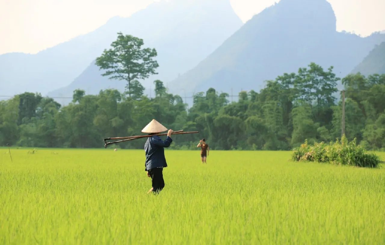 VIETNAM VIETNAM