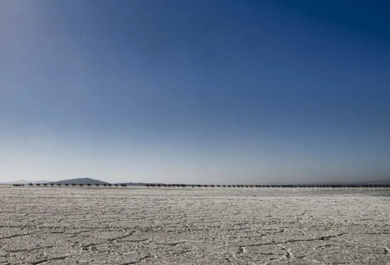 deserto_sale_dancalia deserto_sale_dancalia