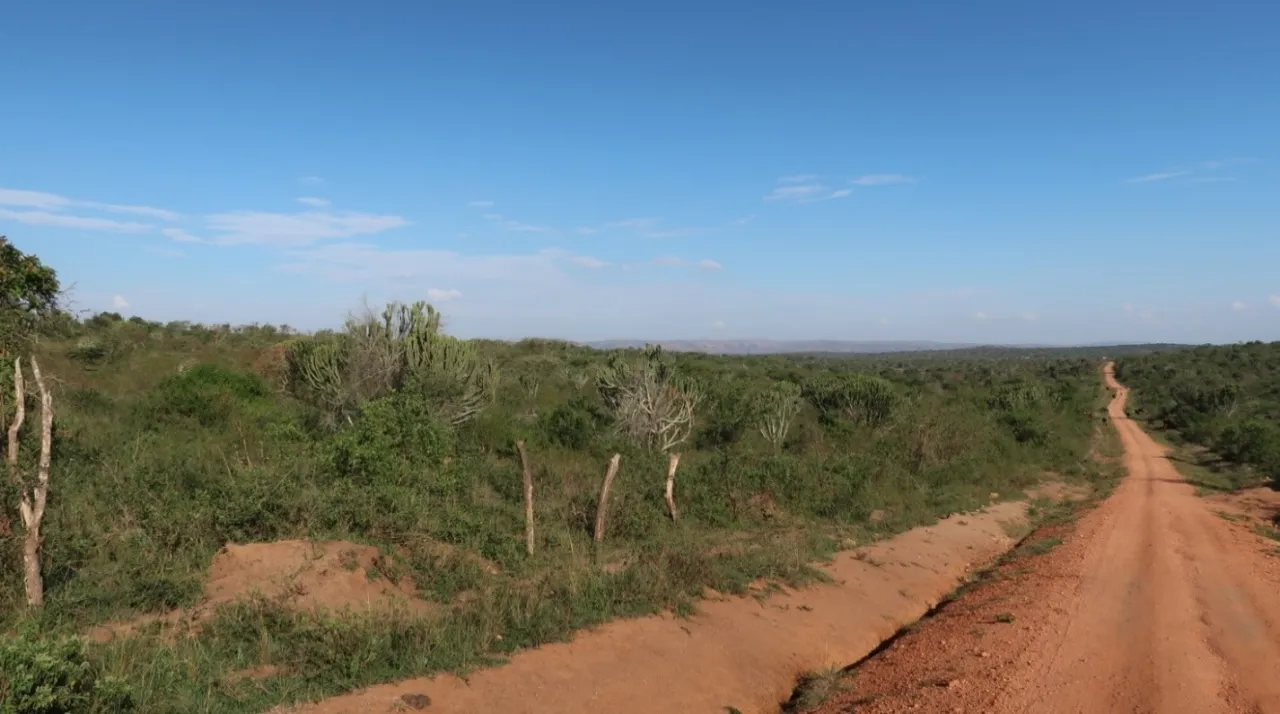 strada uganda