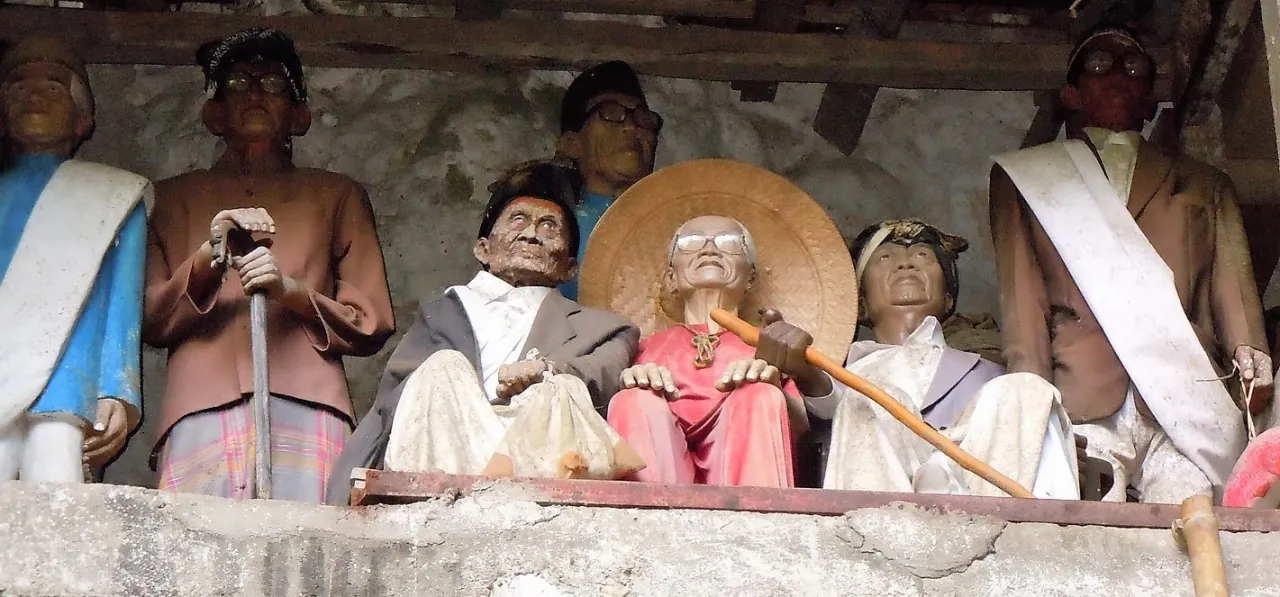 toraja toraja