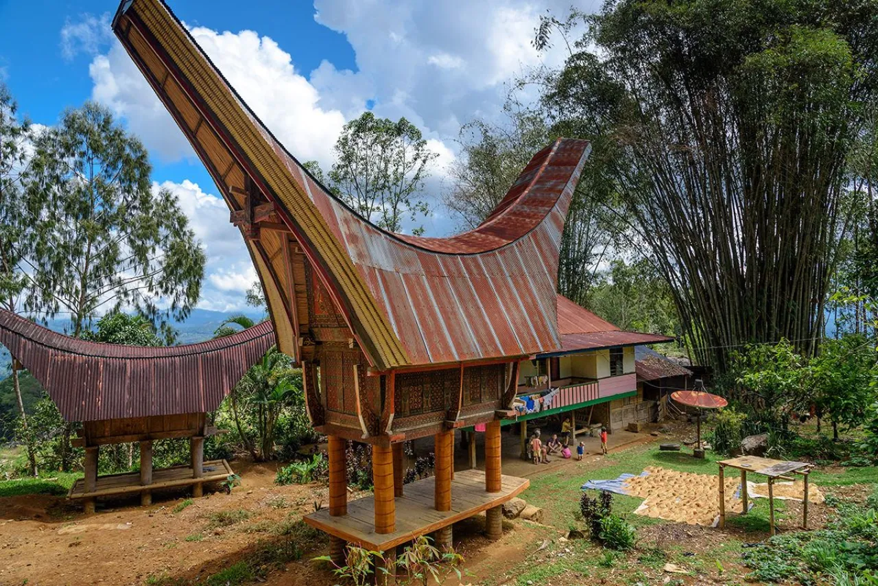 sulawesi sulawesi