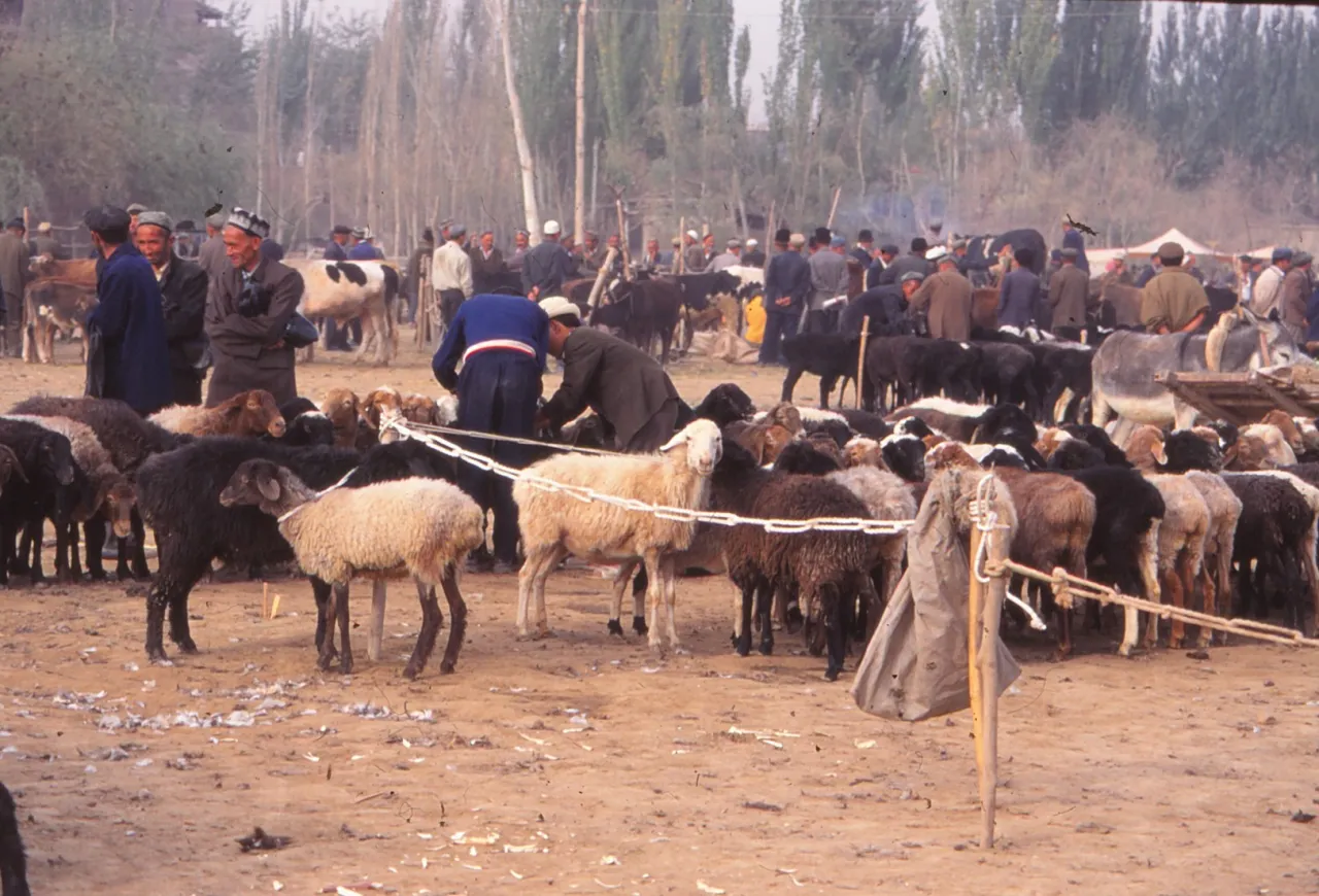 mercato Kasghar
