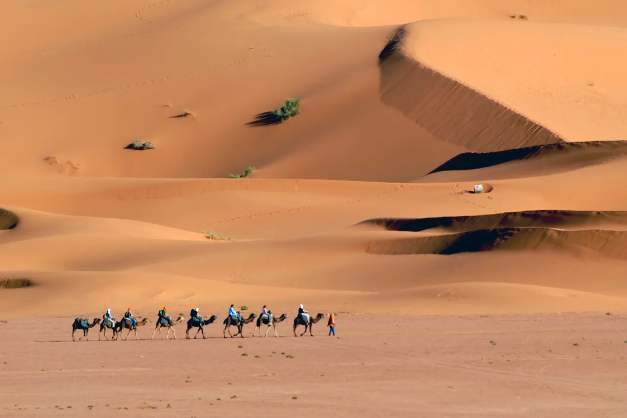 15. attraversamento del deserto (1) 15. attraversamento del deserto (1)