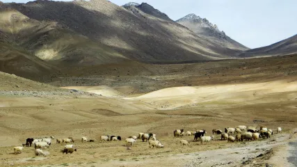 ladakh 8