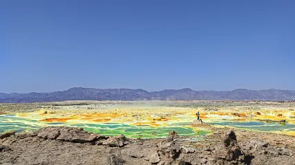 DALLOL AFFLITTI 5