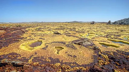 DALLOL AFFLITTI 6