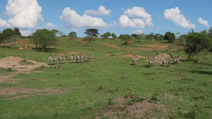 Parco Nazionale Uganda