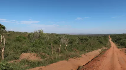 Strade in Uganda