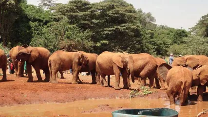 Viaggio Uganda
