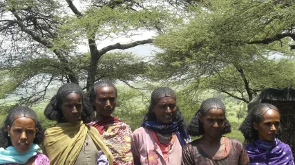 DONNE_TIGRAY