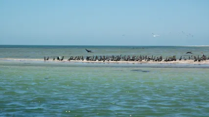 detours-mauritanie-banc arguin