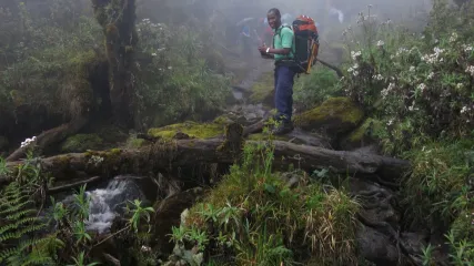 trek uganda