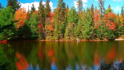 10 foliage Lake Louise