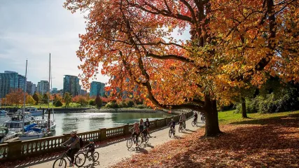 9 Vancouver Stanley Park foliage ok