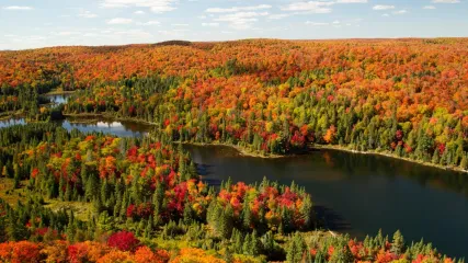 COPERTINA FOLIAGE Parc National du Mont-Tremblant (1)