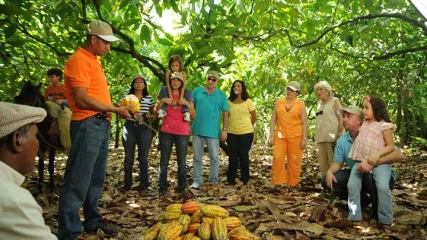 7 sendero del CACAO