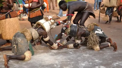 1 guinea-bissau-vaca-bruta COPERTINA