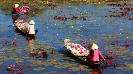 ninfee-vietnam-quangpraha