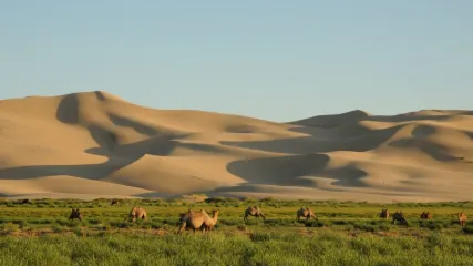 MONGOLIA EAGLE FESTIVAL